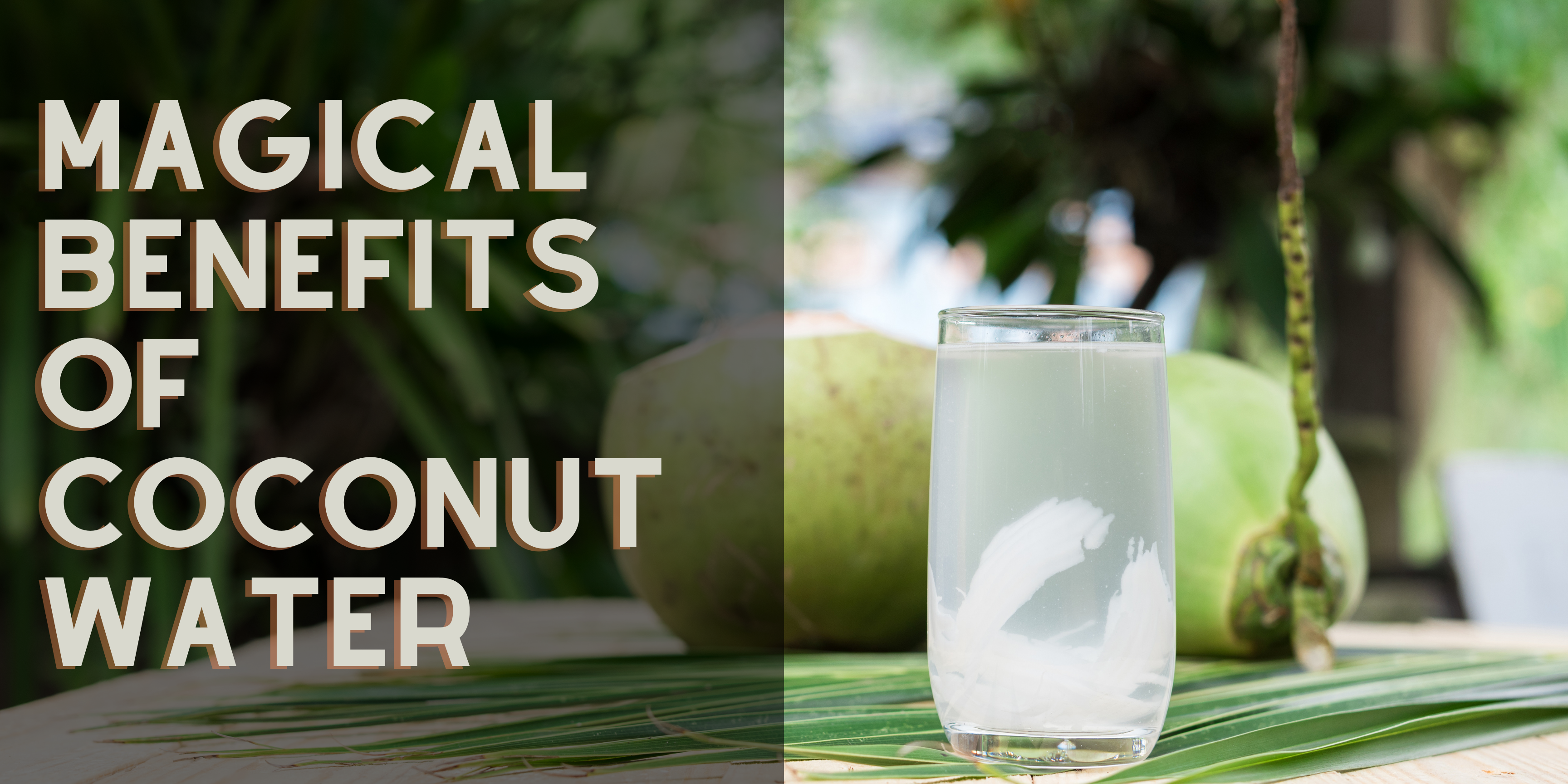 Magical Benefits of Coconut Water
