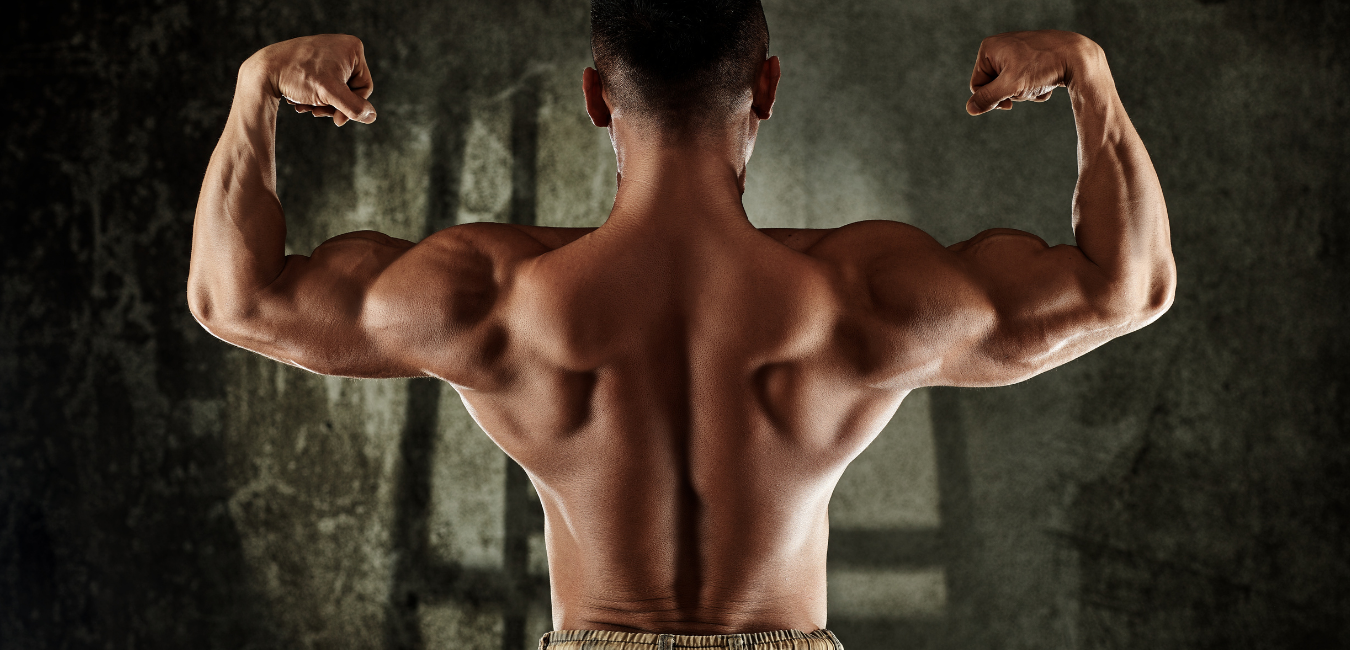 The Science of What Muscle Growth Actually Is 